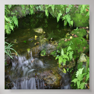 Póster Panorâmica de Fotografias Fairy Hot Spot