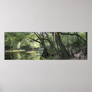 Poster panorâmico -60x20 do rio de Cypress - ou