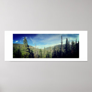 Poster panorâmico da floresta da floresta - azul