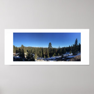 Poster panorâmico das árvores geladas do inverno