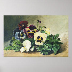 Póster Pansies do inverno, 1884