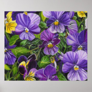 Póster Pansies, "Pansies roxos" por Jenny Koch