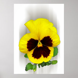 Póster pansor amarelo burgundy