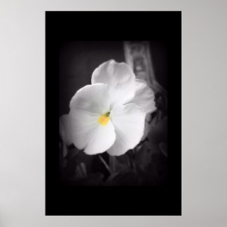 Poster Pansor Preto e Branco