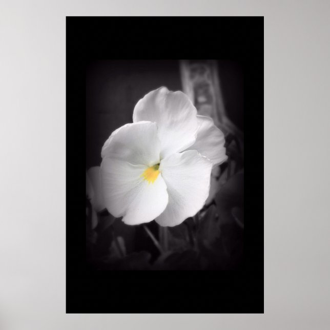 Poster Pansor Preto e Branco (Frente)