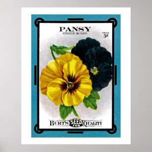 Póster Pansy