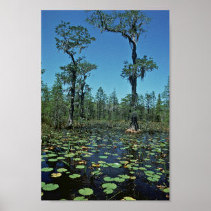 Poster Pantanais, reserva natural do nacional de