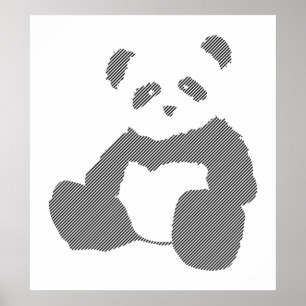 Póster pantanal.