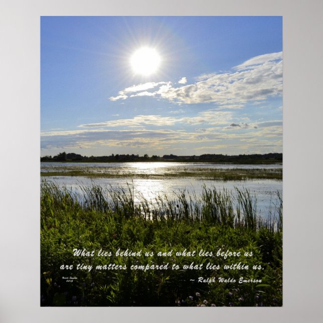 Póster Pântano de carvalho (Frente)