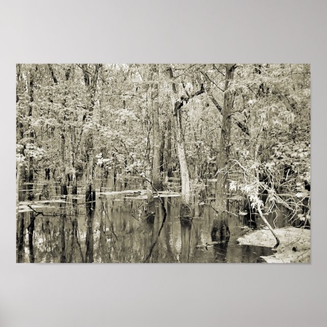 Póster Pântano de Nova Orleans (Frente)