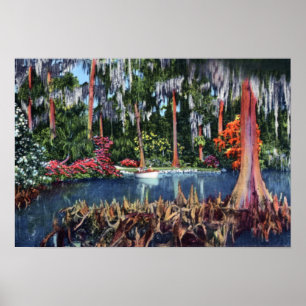 Póster Pântano e barco de Wales Florida Cypress do lago