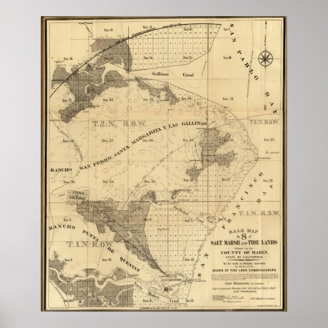 Póster Pântanos e marés salgados (Frente)