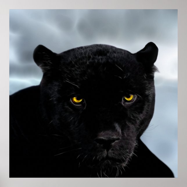 Poster Panthera preto (Frente)