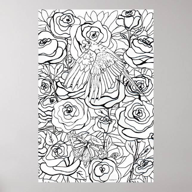 Poster Papagaio (Frente)