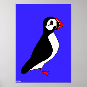 Poster Papagaio