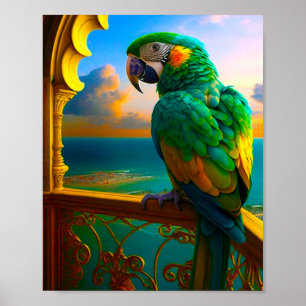 Poster Papagaio