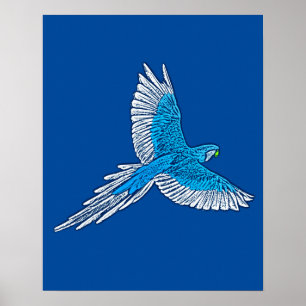 Póster Papagaio a Voo, Azul Cobalto e Branco