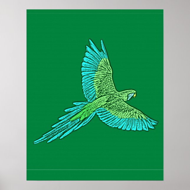 Póster Papagaio a Voo, Jade Green e Turquoise (Frente)