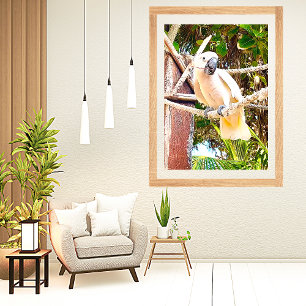 Poster Papagaio Branco Tropical Mexicana