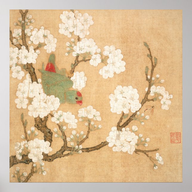 Poster Papagaio Chinês Oriental E Flores De Pêra (Frente)