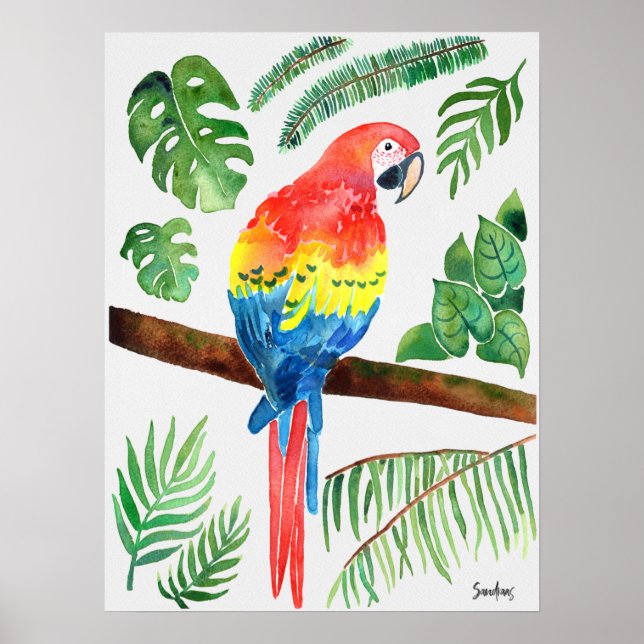 Poster Papagaio de Aquarela (Frente)