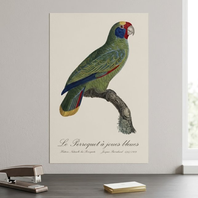 Poster Papagaio-de-cauda-vermelha, Amazona Brasiliensis (Red-Tailed Parrot Amazon, Amazona Brasiliensis. Poster)