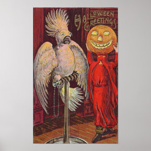 Poster Papagaio de Halloween e abóbora