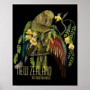 Poster Papagaio de Montanha da Nova Zelândia