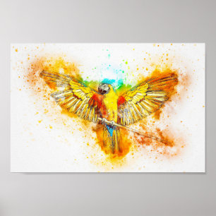 Poster Papagaio do Macaw
