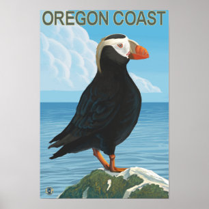 Poster Papagaio-do-mar adornado costa de Oregon