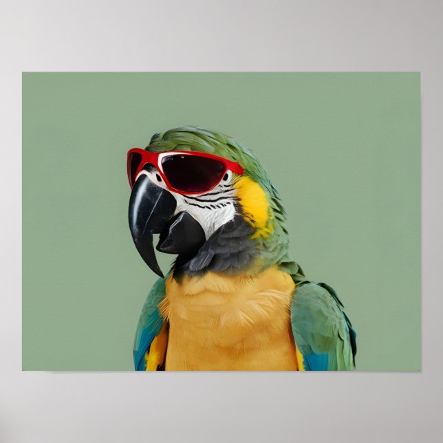 Poster Papagaio-do-partido em óculos vermelhos (Frente)
