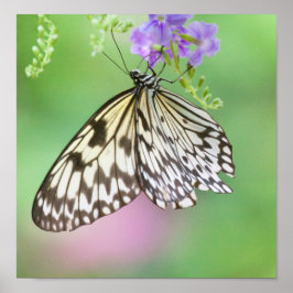 Póster Papagaio em verde e roxo