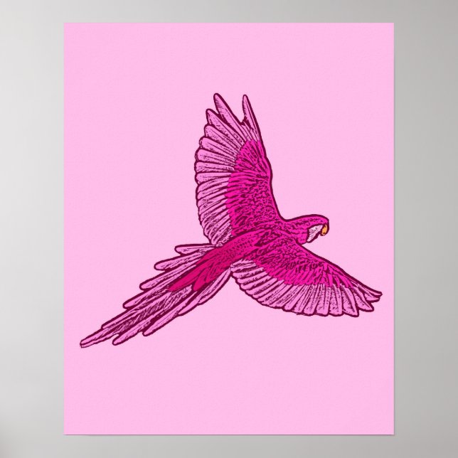 Poster Papagaio em Voo, Fúchsia e Rosa-de-Gelo (Frente)