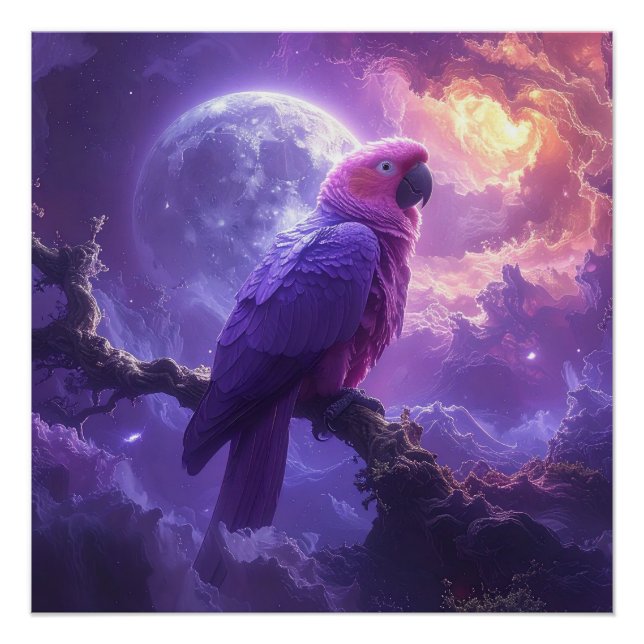 Póster Papagaio Mágico (Frente)