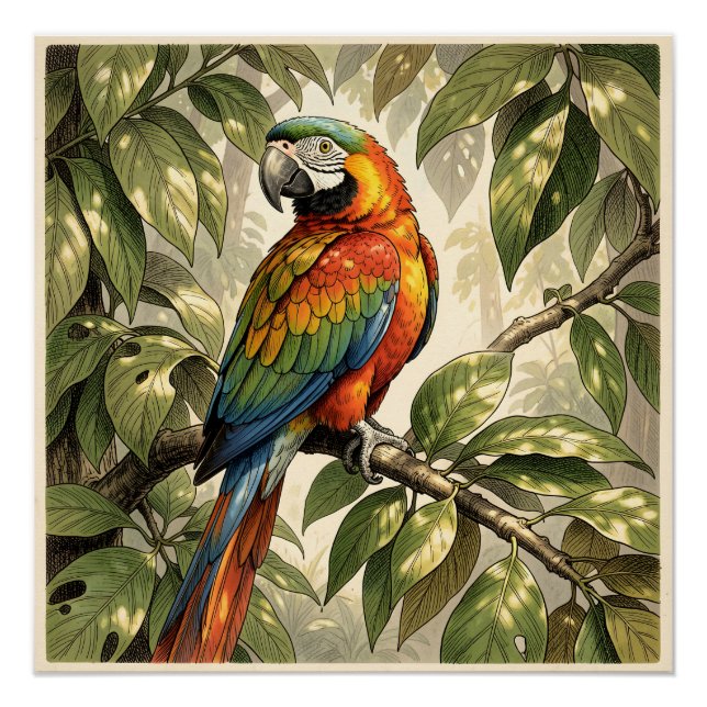 Póster Papagaio no desenho de árvore (Frente)