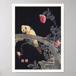 Póster Papagaio no ramo, Bush cor-de-rosa de