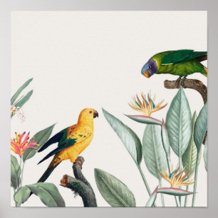 Poster Papagaios