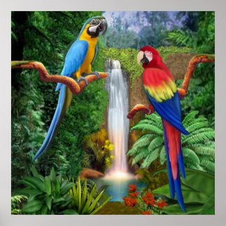 Poster Papagaios Araras Tropicais