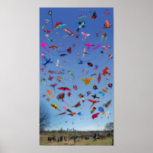 Póster Papagaios dos papagaios dos papagaios no céu