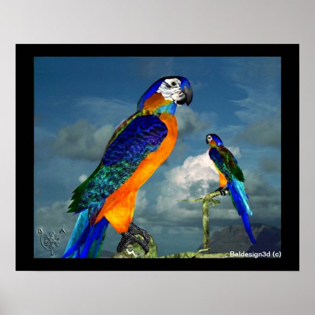 PÓSTER PAPAGAIOS HIPER / ARARA AZUL (Frente)