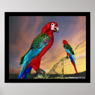 POSTER PAPAGAIOS HIPER / ARARA VERMELHA
