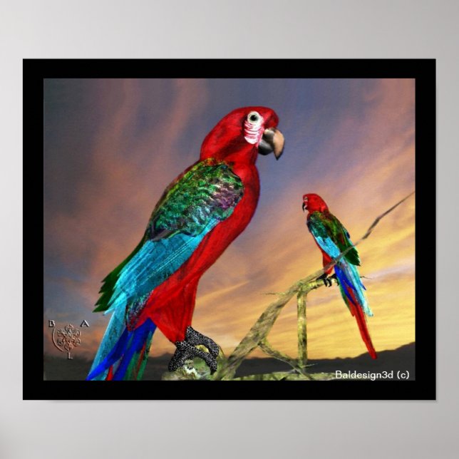 POSTER PAPAGAIOS HIPER / ARARA VERMELHA (Frente)