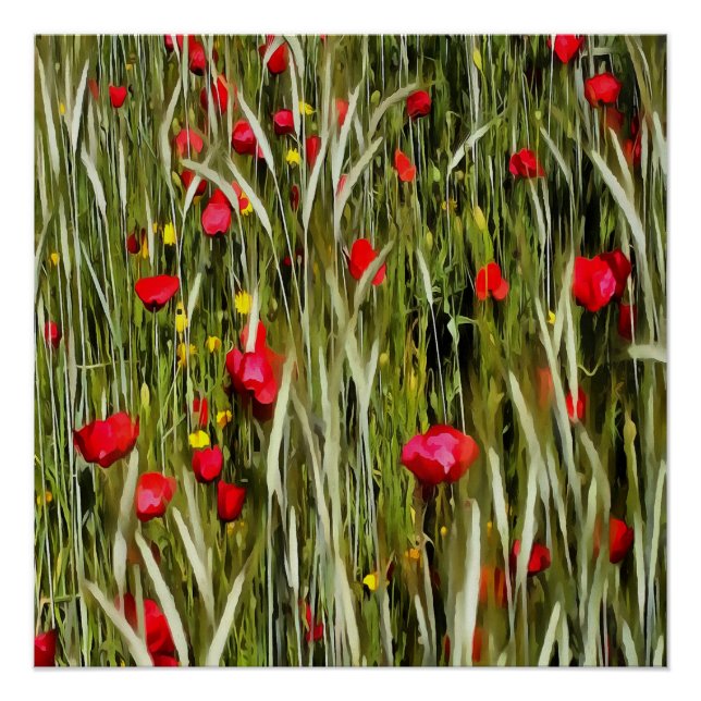 Póster Papagaios Vermelhos Numa Pintura De Roda (Frente)