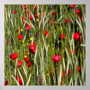 Póster Papagaios Vermelhos Numa Pintura De Roda