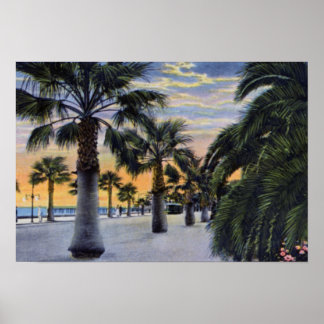 Póster Papais noeis Barbara California Seaside Boulevard