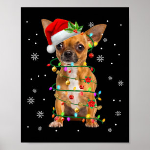 Poster Papais noeis Chihuahua Natal Luzes Natal Xmas Cach