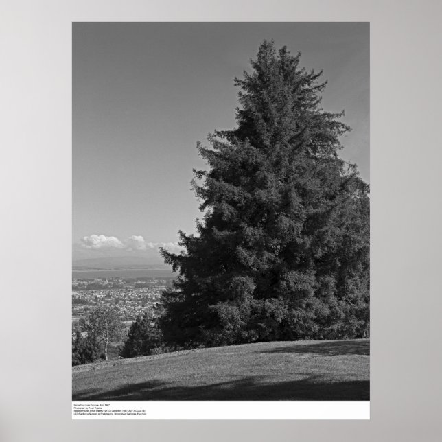 Póster Papais noeis Cruz do Campus, abril de 1967 (Frente)