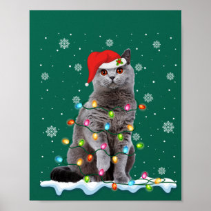 Poster Papais noeis de Natal Cat British Shorthair Lover