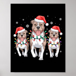 Poster Papais noeis de Natal engraçados Reindeer Bonitos 