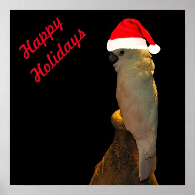 Poster Papais noeis de Posicionamento Personalizado Pássa (Frente)